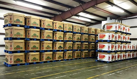 Photo of watermelon cardboard packaging stacked on pallets