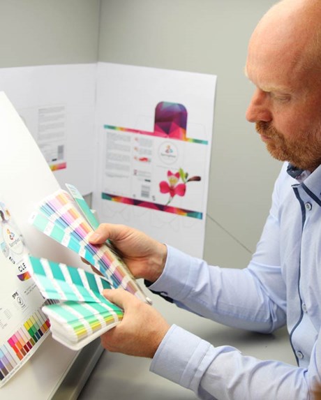 Photo of color palette inspection